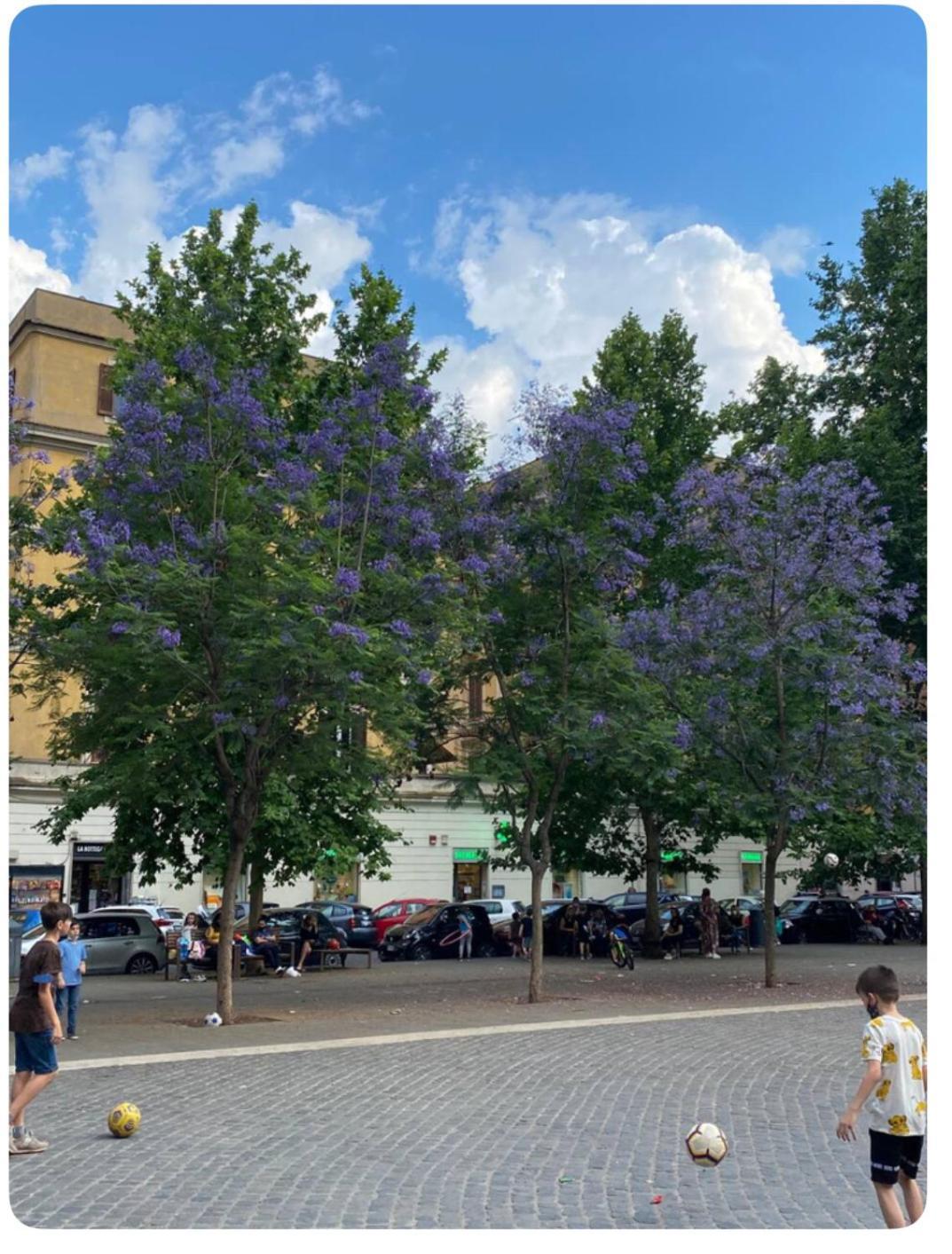 Testaccio Historic House Рим Екстер'єр фото